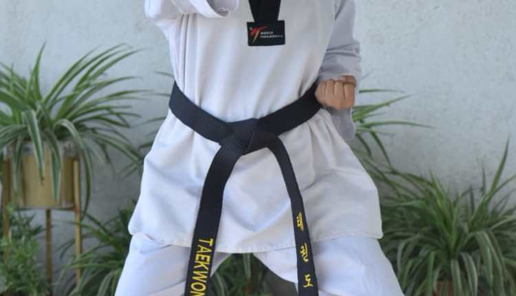 KARATE CHAMPION 2