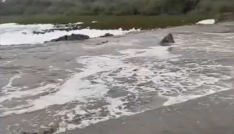 DHARAMPUR TIMBDI DIVERSION 1
