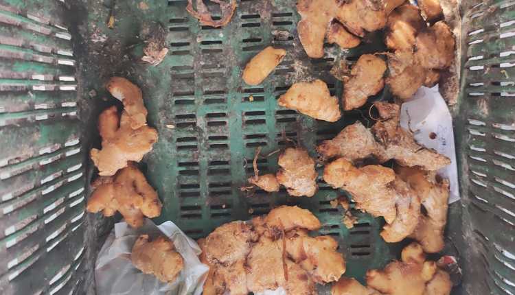 FOOD CHECKING