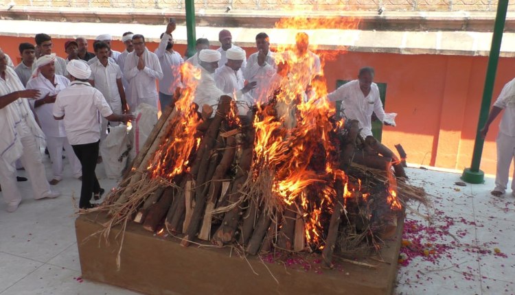 RAJMATA AVSAN 10