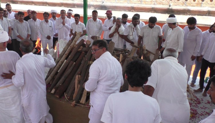 RAJMATA AVSAN 11