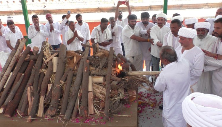 RAJMATA AVSAN 12